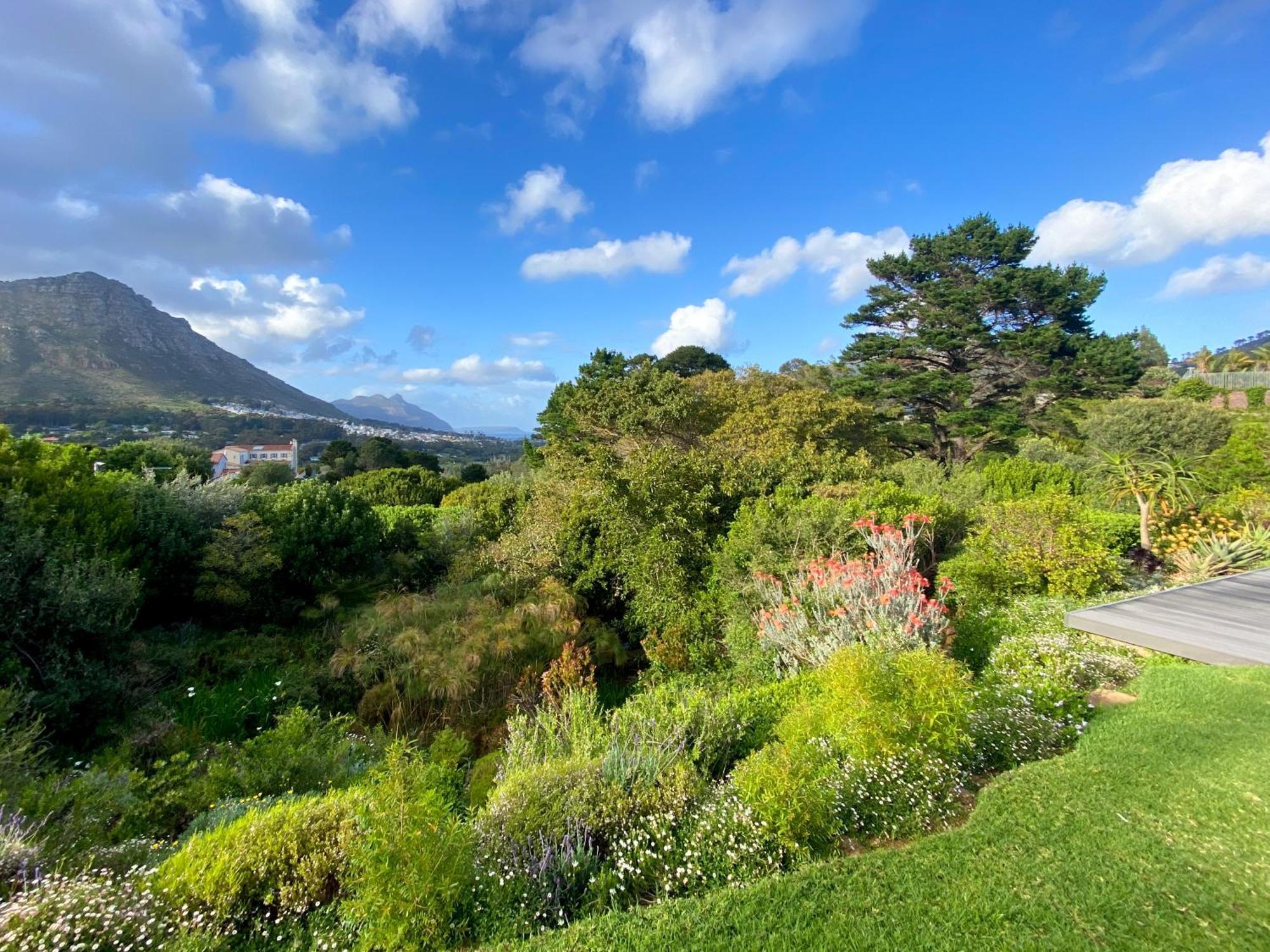 Luxe Family Home With Solar Power In Secure Hout Bay Estate Кейптаун Экстерьер фото